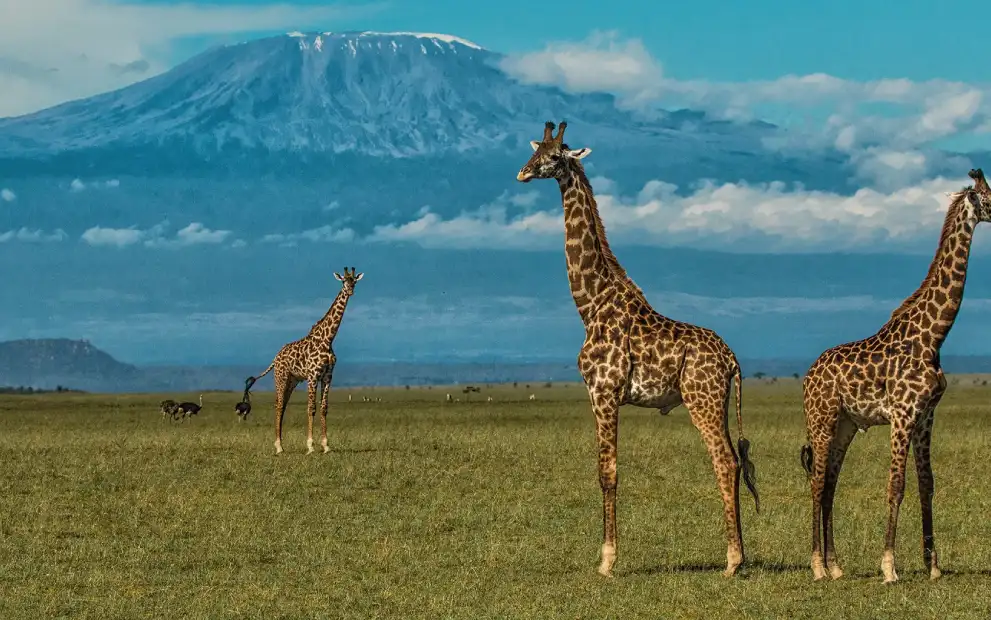 Tanzania