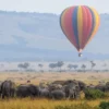 3 Days Amboseli Safari