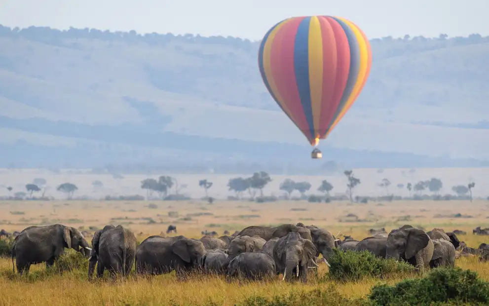 amboseli national park