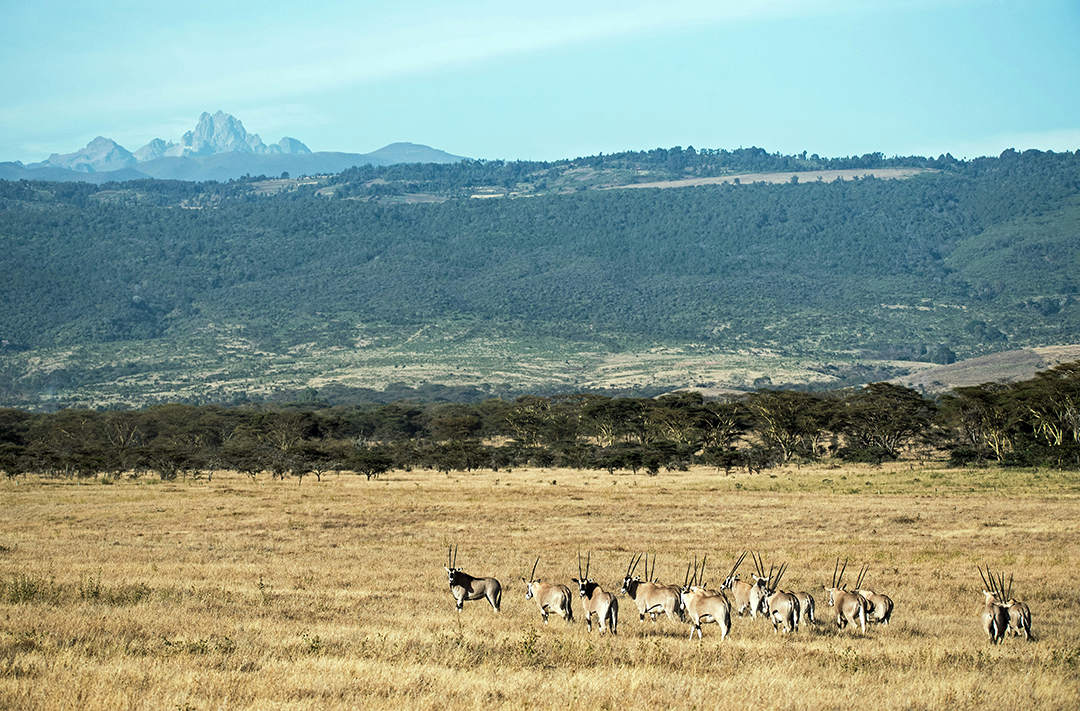 Kenya
