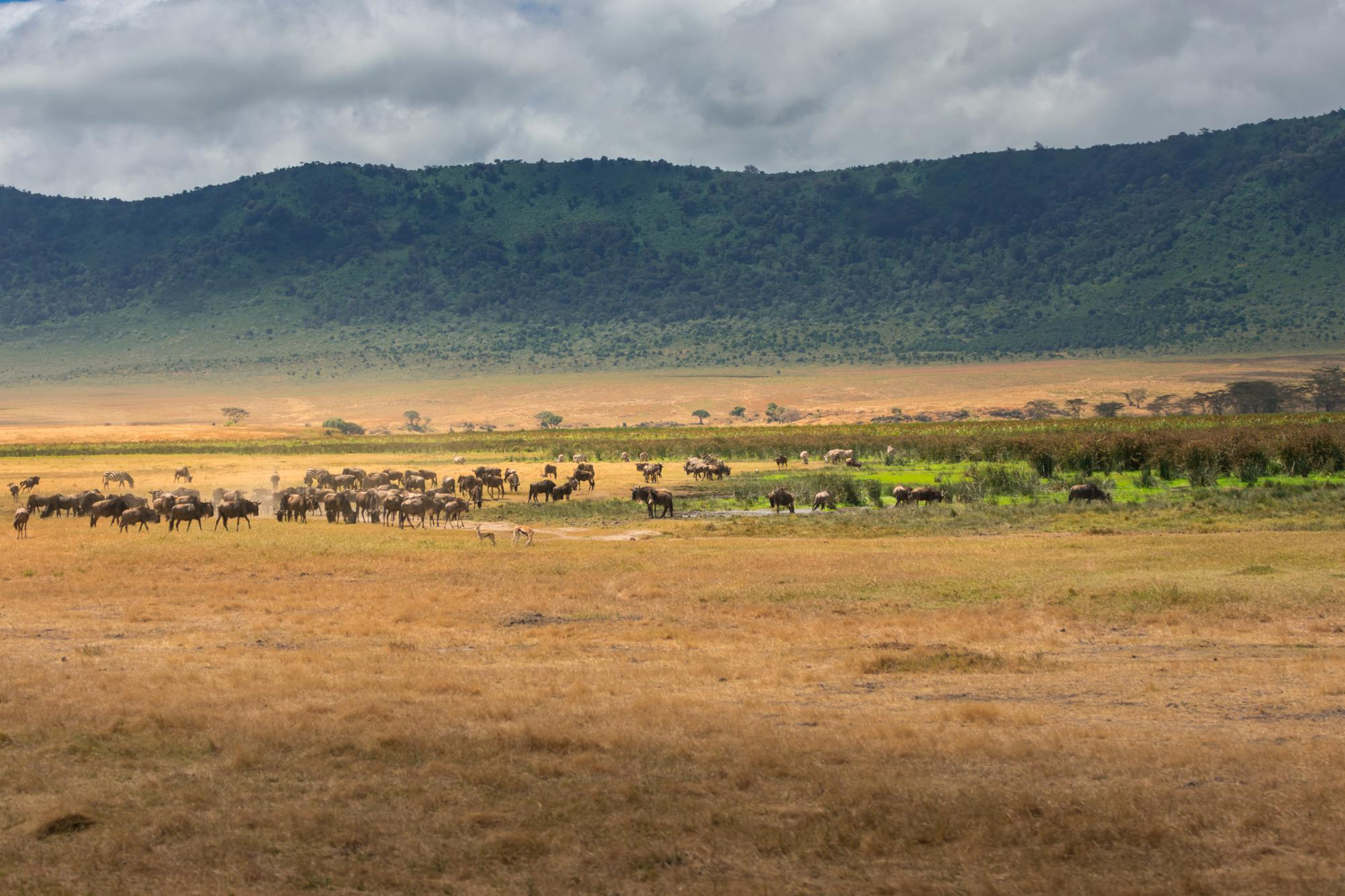 ngorongoro crater