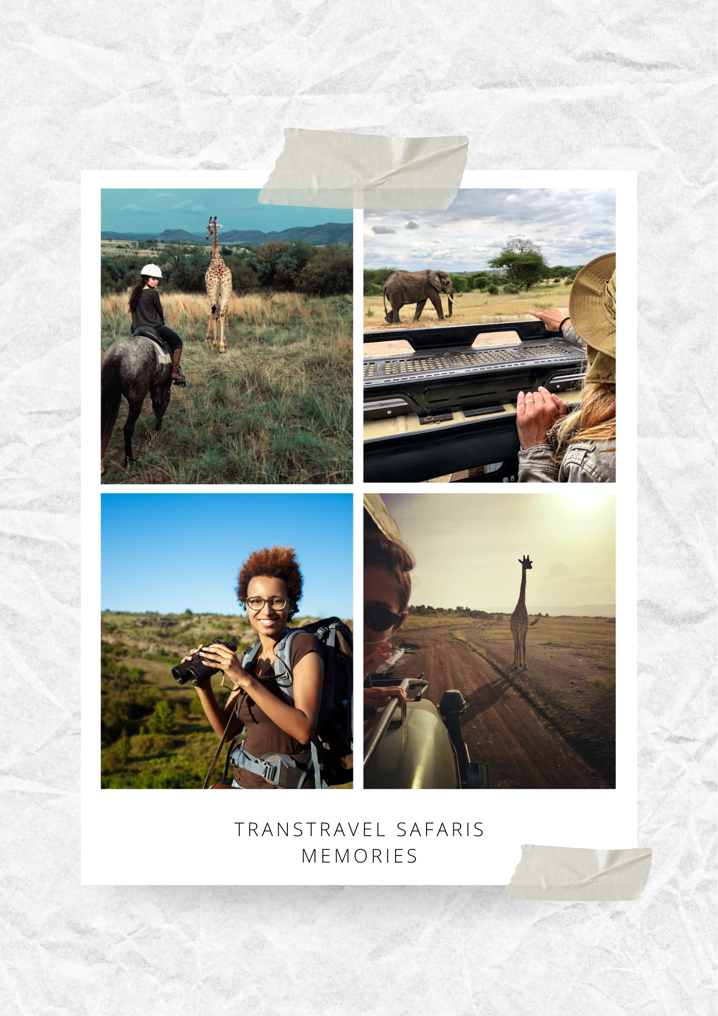 transtravel safaris gallery