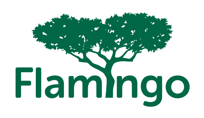 Flamingo int logo